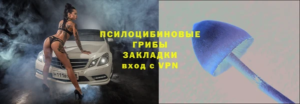 прущие крисы Алзамай