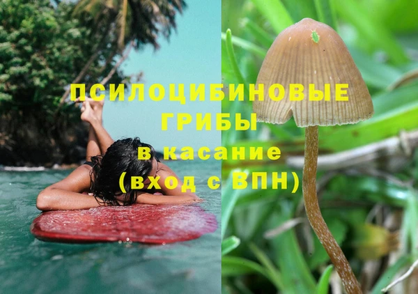 COCAINE Алексеевка