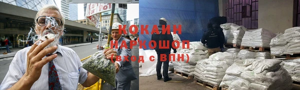 прущие крисы Алзамай