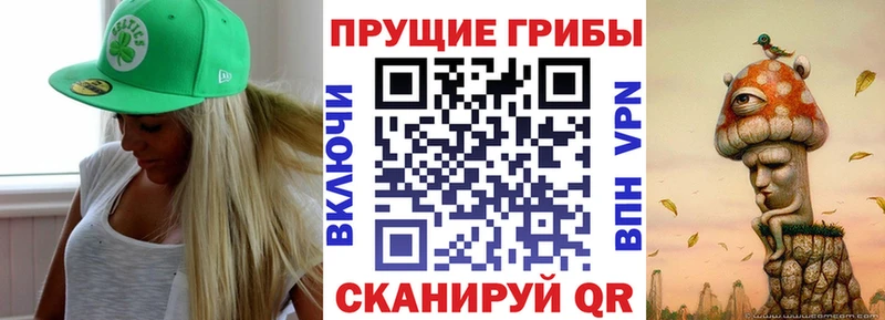 Псилоцибиновые грибы MAGIC MUSHROOMS  кракен tor  Перевоз 