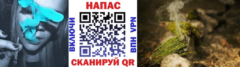 Бошки Шишки SATIVA & INDICA Перевоз